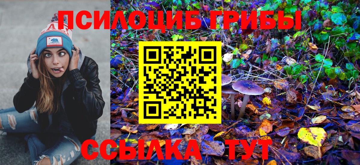Псилоцибиновые грибы MAGIC MUSHROOMS Светлоград